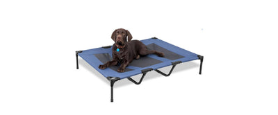 The Ultimate Guide to Pet Beds: Choosing Comfort, Style, and Functionality